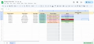 Project Overview Template